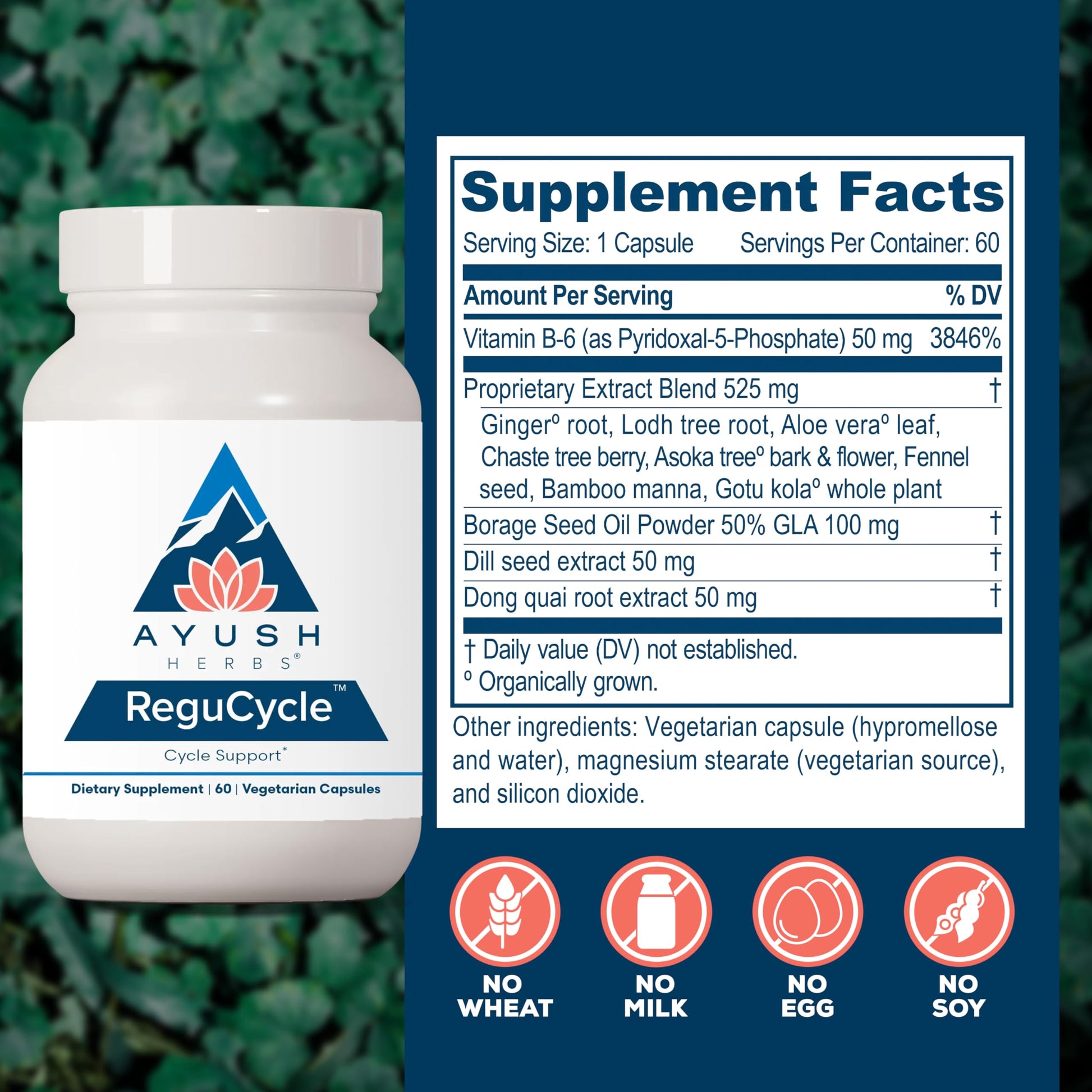 Ayush Herbs Regu-Cycle - Hormone Balance for Women, Hormonal Support, Period Support & Relief, Reproductive Health, Regulate Menstrual Cycle, Ovarian Support Supplement - 60 Vegetarian Capsules Ayush HerbsBuy Supplements Australia