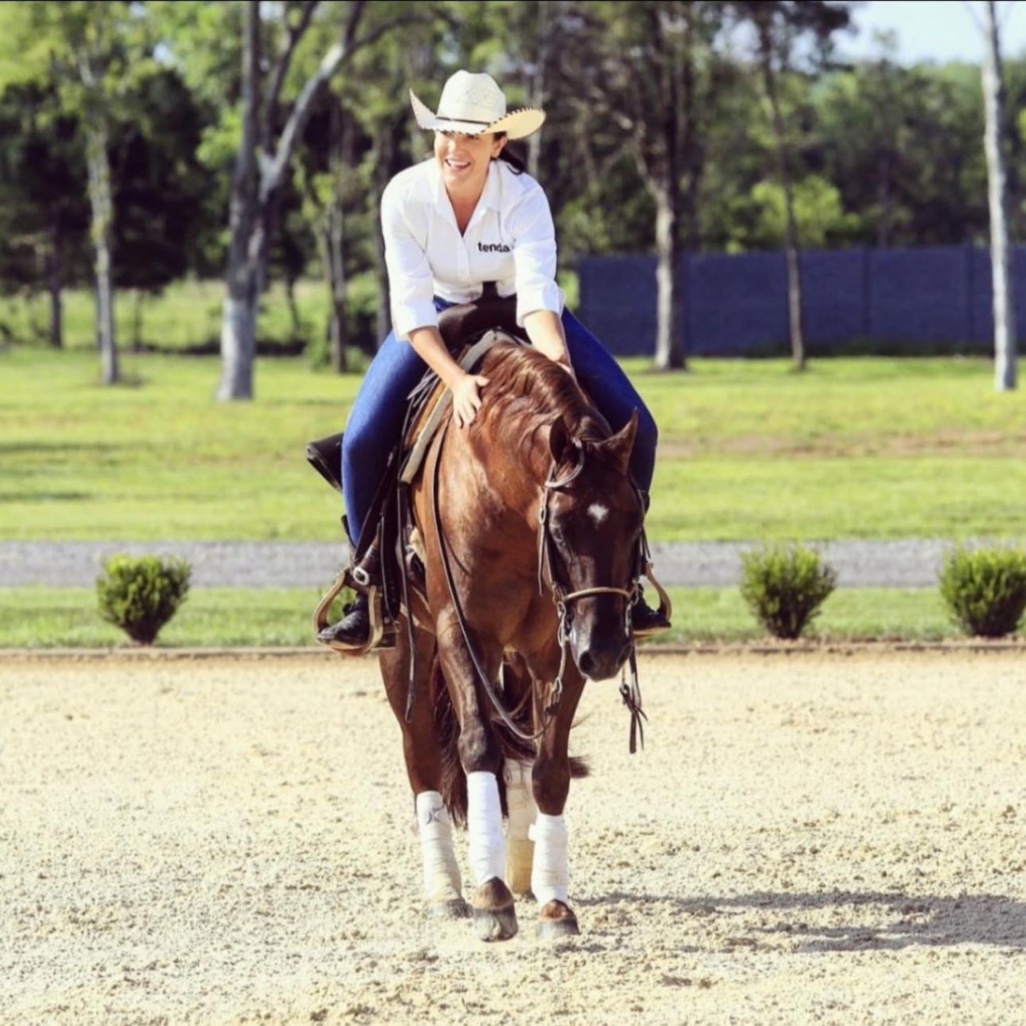 Tenda Liniment Gel - Designed to Provide Temporary Soothing, Relief for Sore and Stiff Muscles Tenda Horse ProductsBuy Supplements Australia
