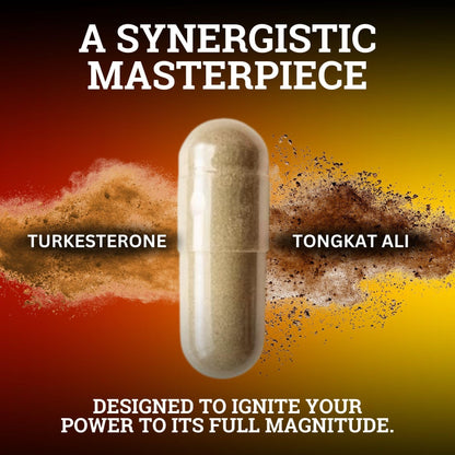 Black Forest Turkesterone Tongkat Ali Supplement 1000mg per Serving (Max Purity 95%) Turkesterone Supplement for Men (Tongkat Ali for Men Longjack 200:1) Similar to Tongkat Ali Fadogia Agrestis Black ForestBuy Supplements Australia