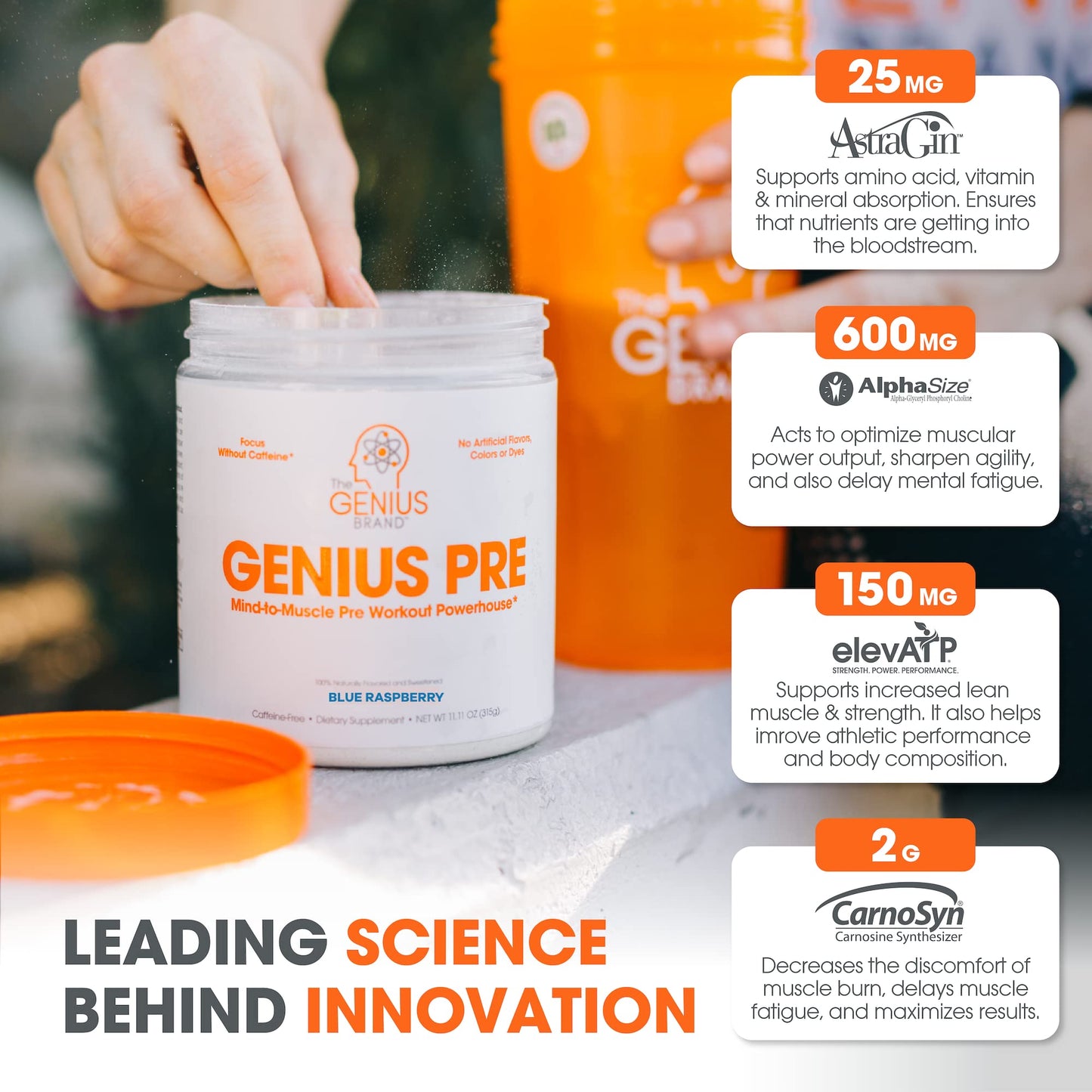 Genius Pre Workout Powder, Blue Razz, and Genius Micronized Creatine Monohydrate Powder, Unflavored, All Natural Nootropic Pre Workout and Post Workout Supplement Stack