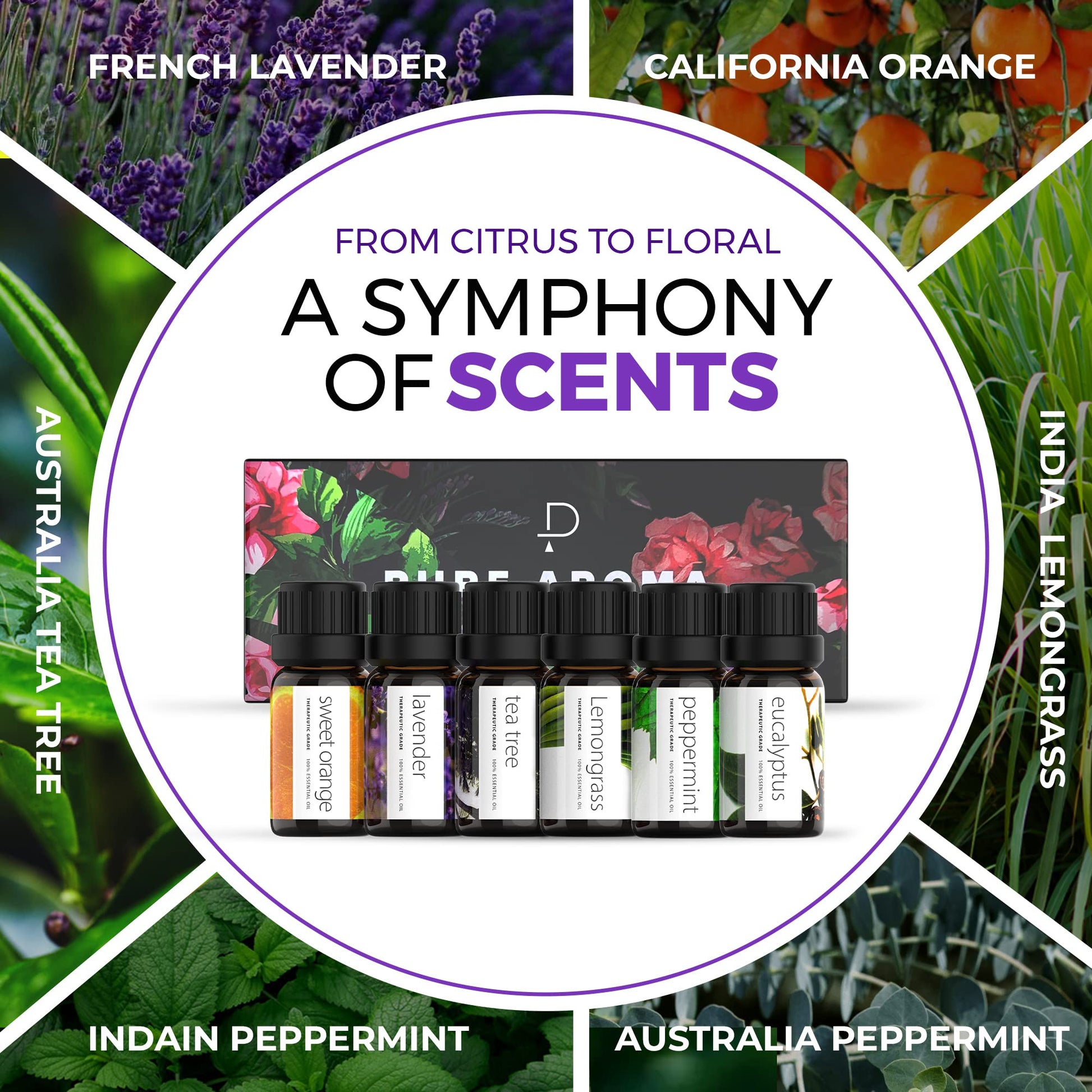 Essential Oils by PURE AROMA 100% Pure Oils kit- Top 6 Aromatherapy Oils Gift Set-6 Pack, 10ML Pure AromaBuy Supplements Australia
