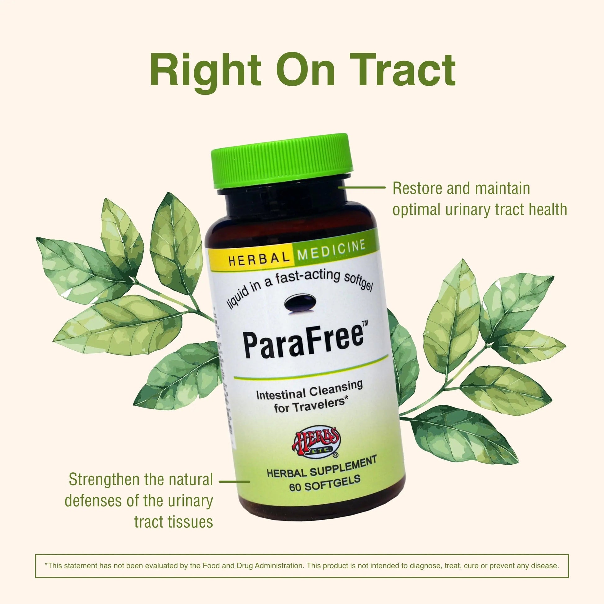 Herbs Etc. CranBladder ReLeaf Softgels - Bladder Health Support - Natural Supplement Formula to Aid Urinary Health & Comfort - Optimal Urinary Support with Cranberry - 60 Softgels (60 Servings) Herbs Etc.Buy Supplements Australia