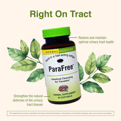 Herbs Etc. CranBladder ReLeaf Softgels - Bladder Health Support - Natural Supplement Formula to Aid Urinary Health & Comfort - Optimal Urinary Support with Cranberry - 60 Softgels (60 Servings) Herbs Etc.Buy Supplements Australia