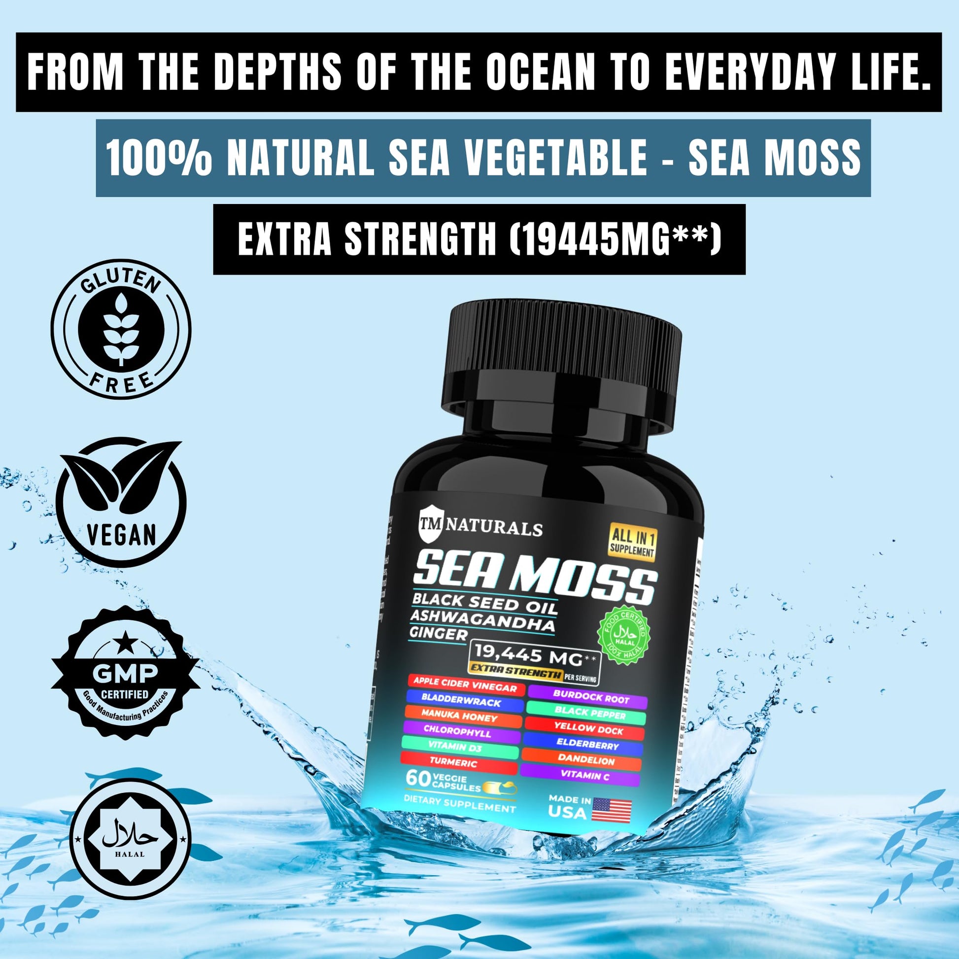TM NATURALS Sea Moss with Black Seed Oil, Vitamin C, Ashwagandha and Turmeric for Immune Support & Energy - 60 Vegan Capsules + Free Pill Box TM NATURALSBuy Supplements Australia