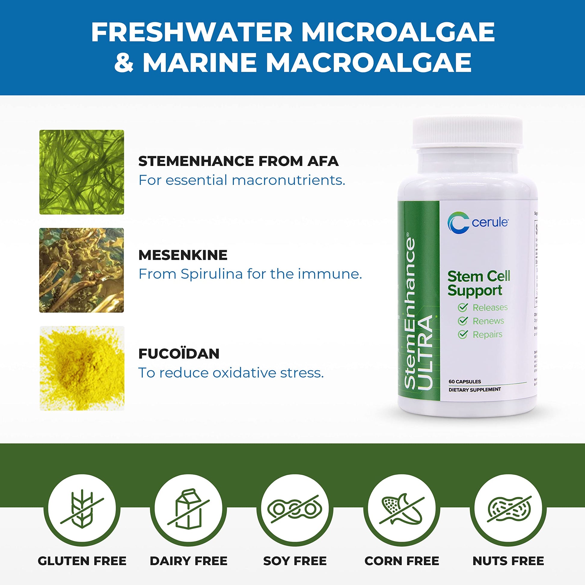 Cerule StemEnhance Ultra Natural Stem Cell Support Supplement – Freshwater Microalgae and Marine Macroalgae Extracts for Cellular Renewal, Immune Function, Energy, and Tissue Recovery – 60 Capsules CeruleBuy Supplements Australia