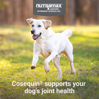 Nutramax Laboratories Cosequin Maximum Strength Joint Health Supplement for Dogs - With Glucosamine, Chondroitin, and MSM, 2 Pack, 264 Total Chewable Tablets Nutramax LaboratoriesBuy Supplements Australia