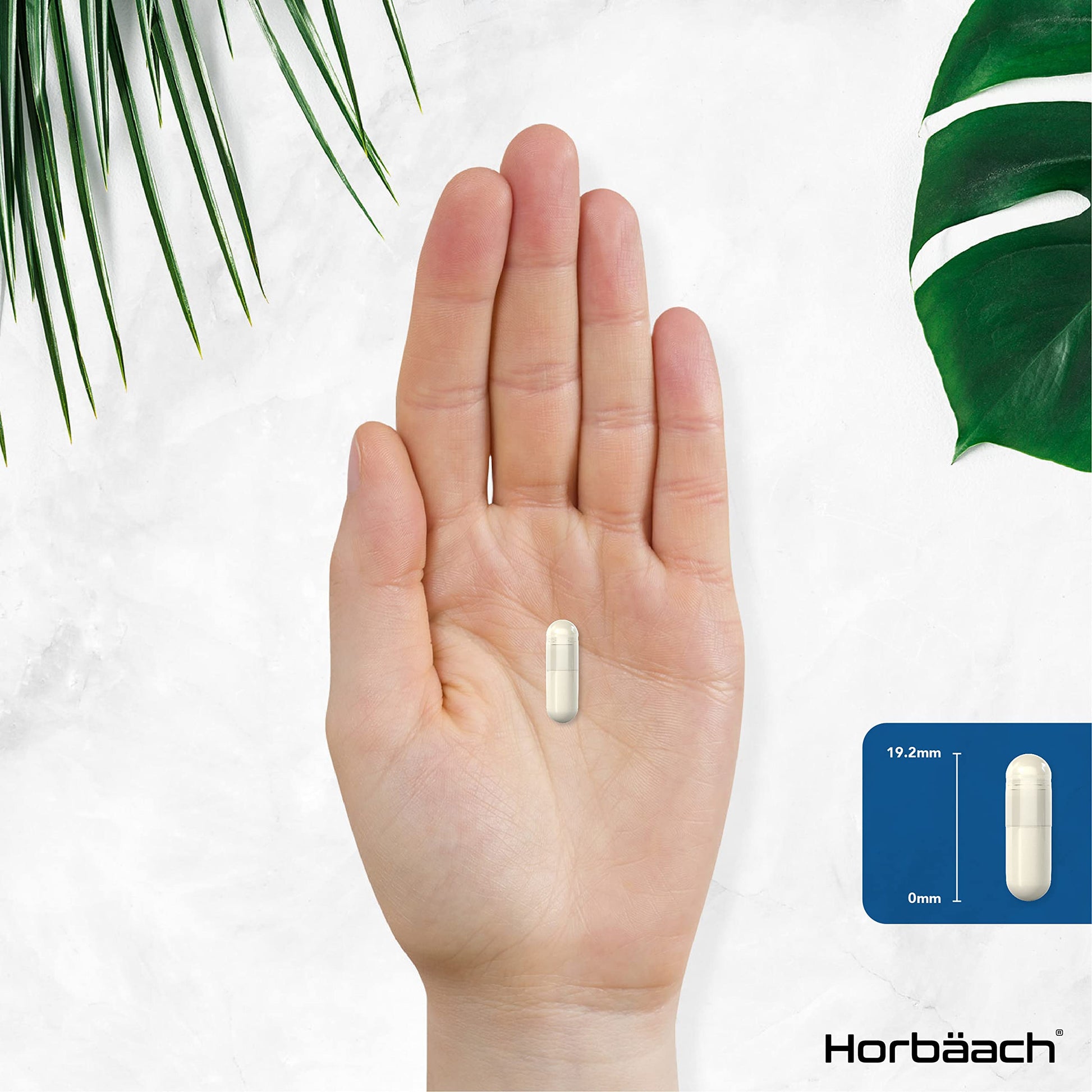 L-Methylfolate 1000ug | 200 Capsules | 5-MTHF Folate Supplement | Active Form HorbäachBuy Supplements Australia
