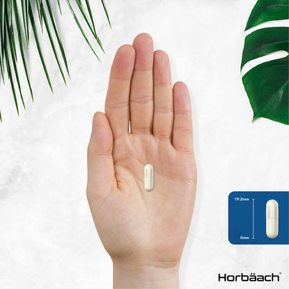 L-Methylfolate 1000ug | 200 Capsules | 5-MTHF Folate Supplement | Active Form HorbäachBuy Supplements Australia