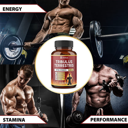 Zolotus Tribulus Terrestris, 8650mg Per Capsule, High Potency with Ashwagndha ZolotusBuy Supplements Australia