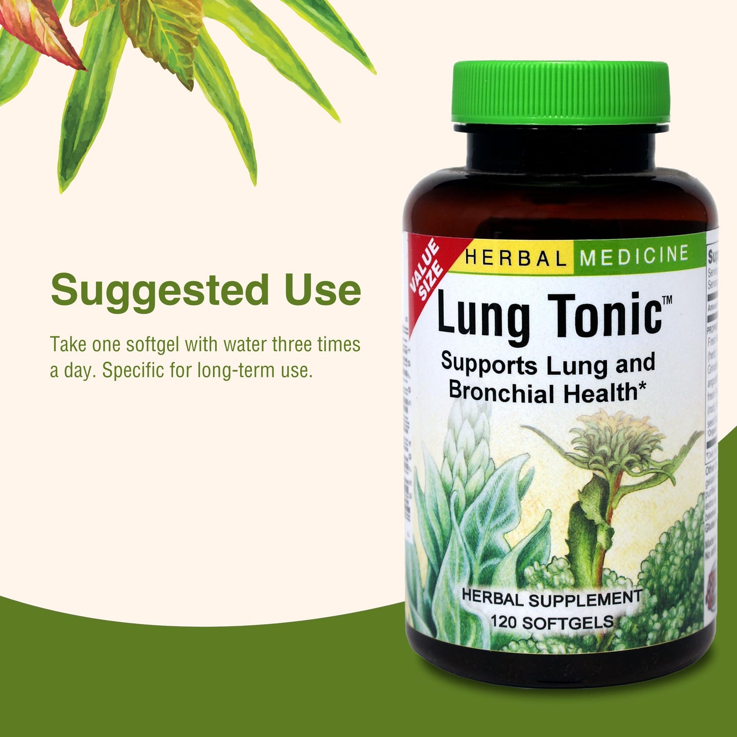 Herbs Etc. Lung Tonic - Lung Supplement for Bronchial Support - Healthy Breathing Support with Mullein, Horehound & Grindelia - 120 Softgels Herbs Etc.Buy Supplements Australia