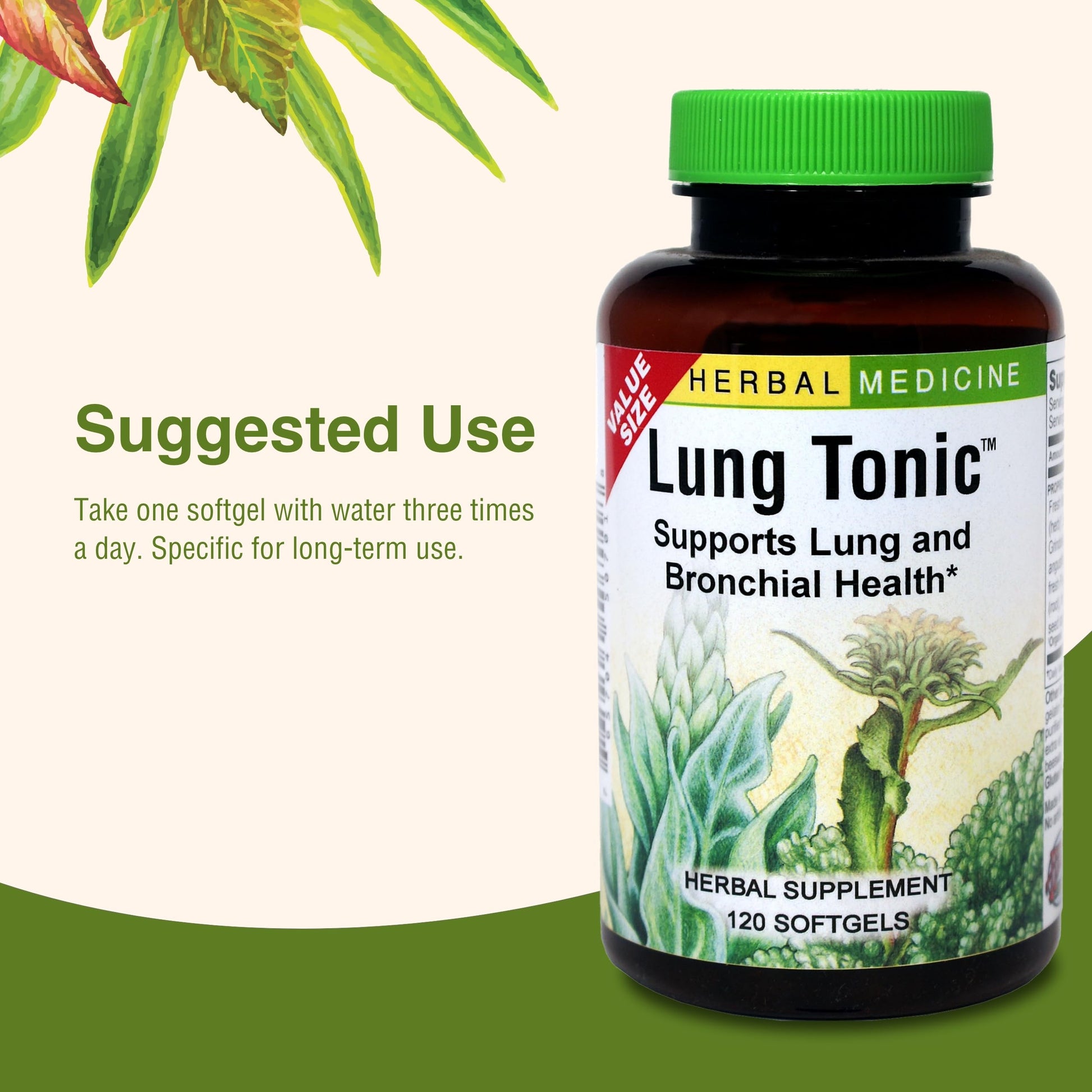 Herbs Etc. Lung Tonic - Lung Supplement for Bronchial Support - Healthy Breathing Support with Mullein, Horehound & Grindelia - 120 Softgels Herbs Etc.Buy Supplements Australia