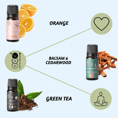 Folkulture Essential Oil Set for Diffuser, Set of 6, Aromatherapy Diffuser Oil Scents for Home FolkultureBuy Supplements Australia