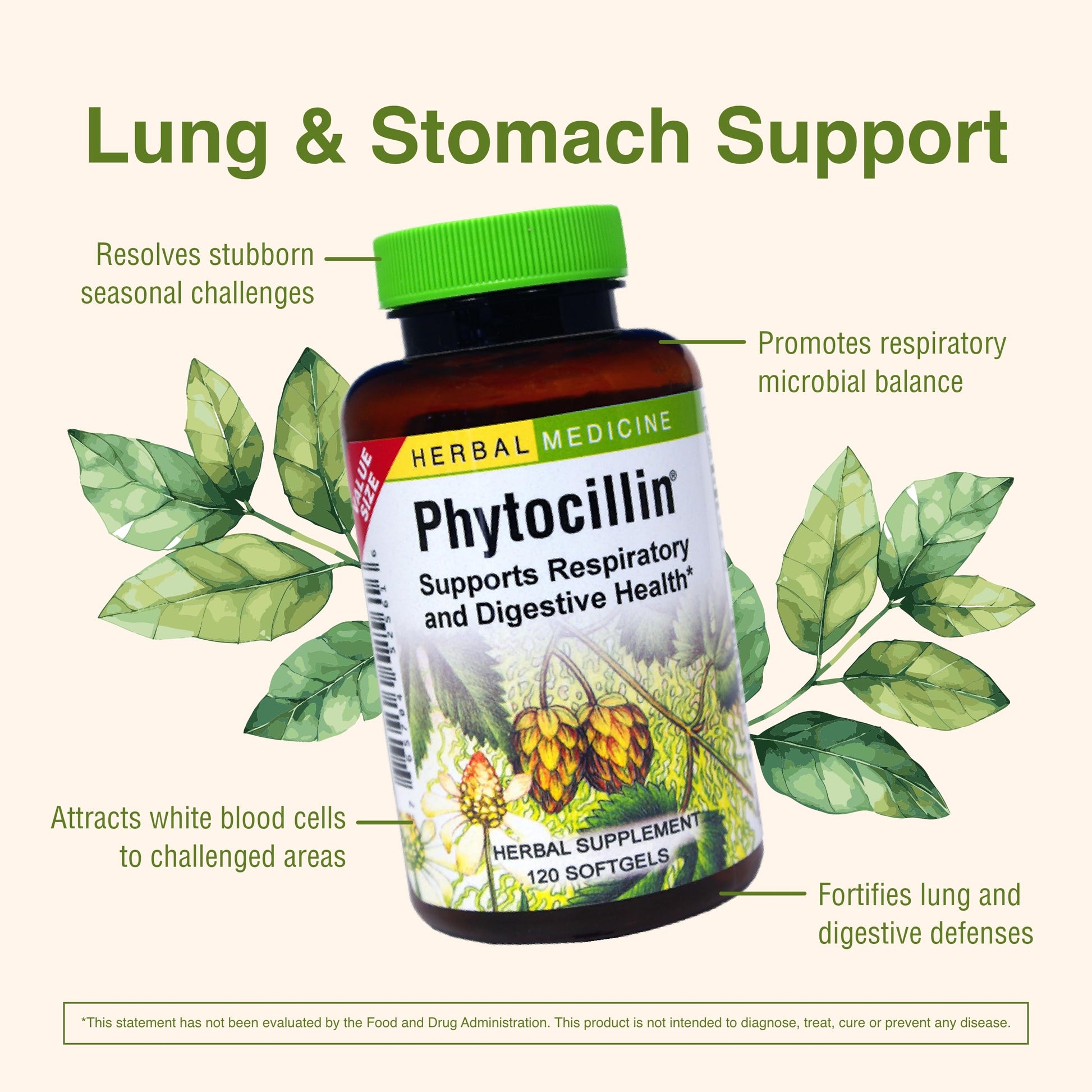 Herbs Etc. Phytocillin - Respiratory & Digestive Health Support Supplement - Herbal Formula to Support Digestion - Support Healthy Breathing - 120 Softgels (120 Servings) Herbs Etc.Buy Supplements Australia