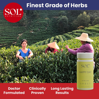 Sol Nutrition Happy Day Supplement: Combining The Natural Herbal Properties of Collective Happiness Bark, Astragalus, and Gingko Biloba to Support a Healthy Lifestyle - 60 Easy to Swallow Capsules Sol NutritionBuy Supplements Australia