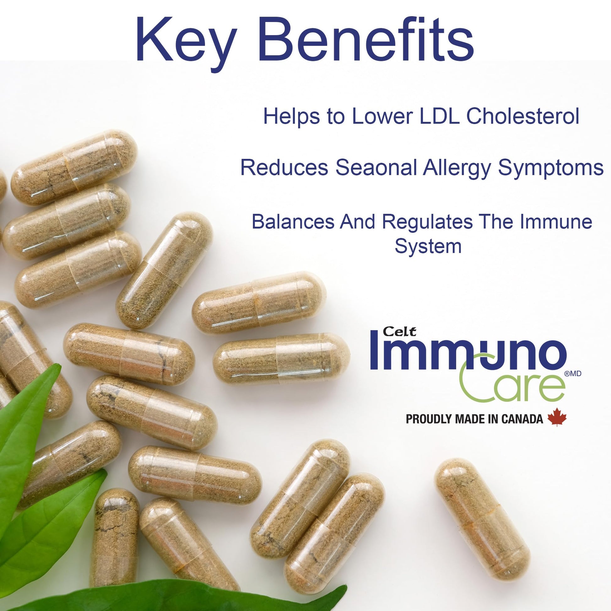 Celt Immunocare 60 v-caps - Potent Seasonal Allergy Blend - Adult Immunity Support - Cholesterol Modulator - Plant Sterols Ultra Strength - 7 Key Immunity Enhancing Ingredients Celt Immuno-CareBuy Supplements Australia