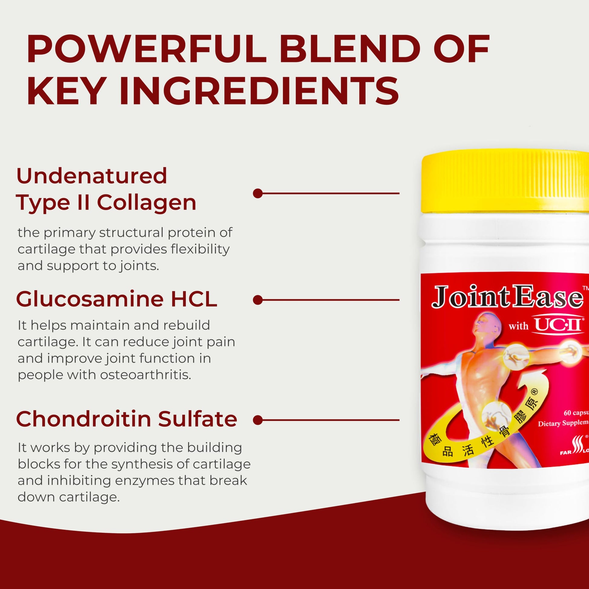 FARLONG JointEase with UC-II, Undenatured Type II Collagen, Glucosamine Hydrochloride, Chondroitin Sulfate, Joint Dietary Supplement | 60 Capsules FAR LONGBuy Supplements Australia