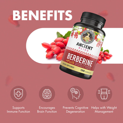 Ancient Bliss Berberine HCL 1200mg with Ceylon Cinnamon, Bitter Melon, and Green Tea Ancient BlissBuy Supplements Australia