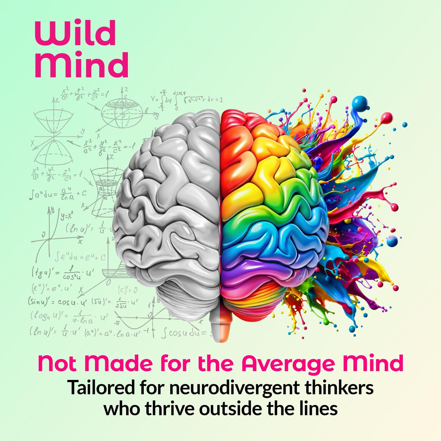Wild Mind Mental Clarity Balanced Focus & Mood Support Supplement for Mental Wellness– 4-Ingredient Nootropic Brain Support for Calm & Energy – Vegan, 90 Capsules, 30-Day Supply Wild MindBuy Supplements Australia