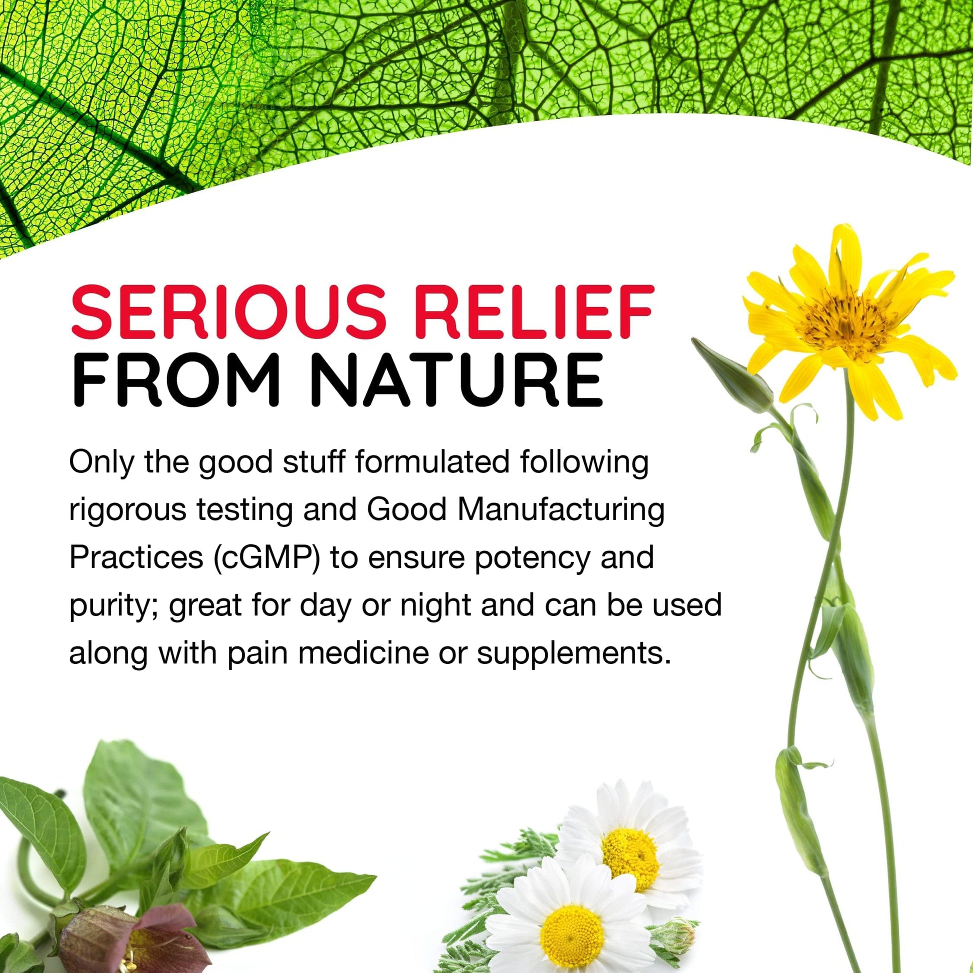 MediNatura T-Relief Arnica +12 Natural Actives - Whole Body Fast-Acting Formula for Women & Men - 100 Tablets MediNaturaBuy Supplements Australia