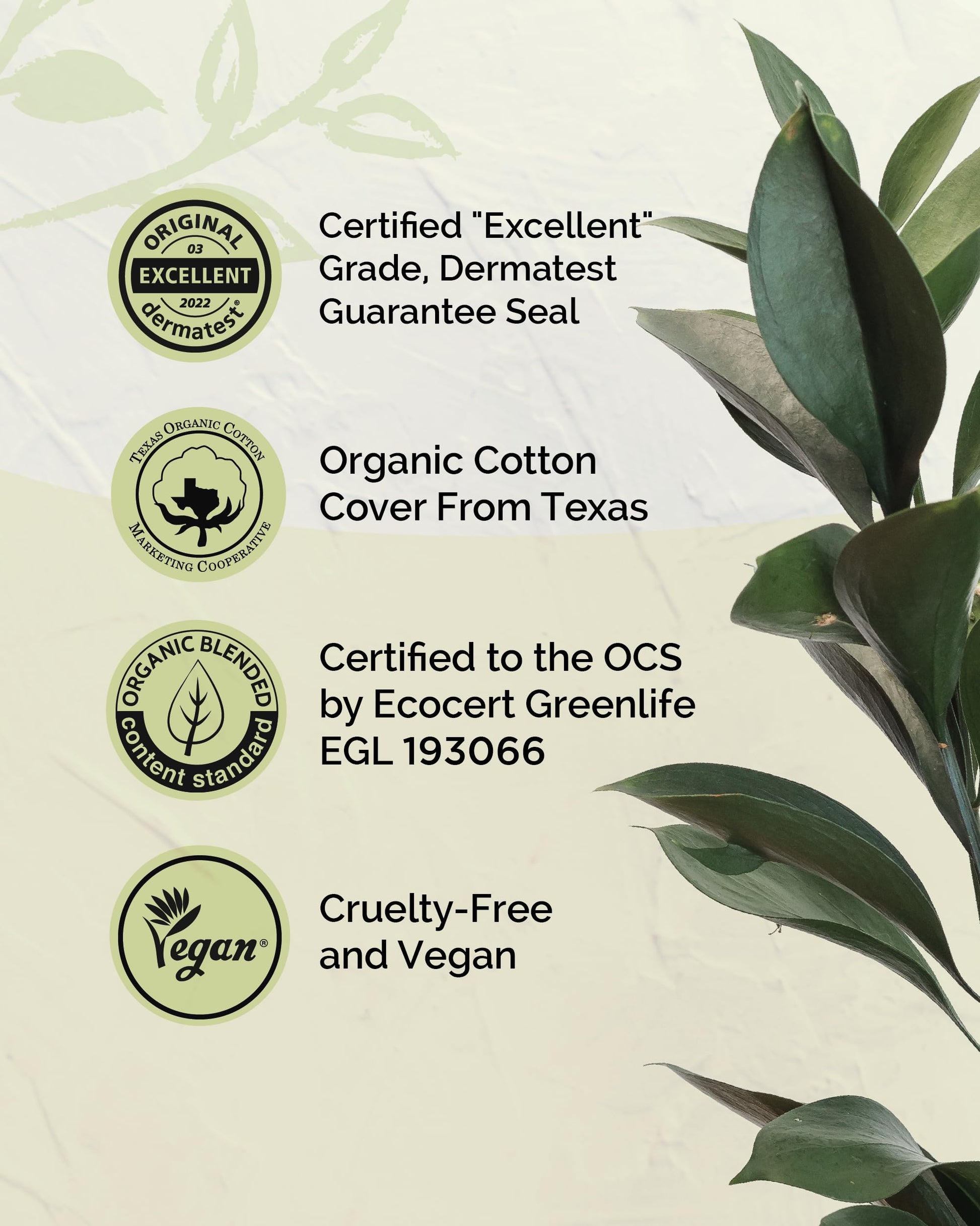 LABON Premium Vegan Organic Sanitary Pads (Regular, 25cm, 32 Counts) - 100% Organic Cotton Cover OCBONBuy Supplements Australia