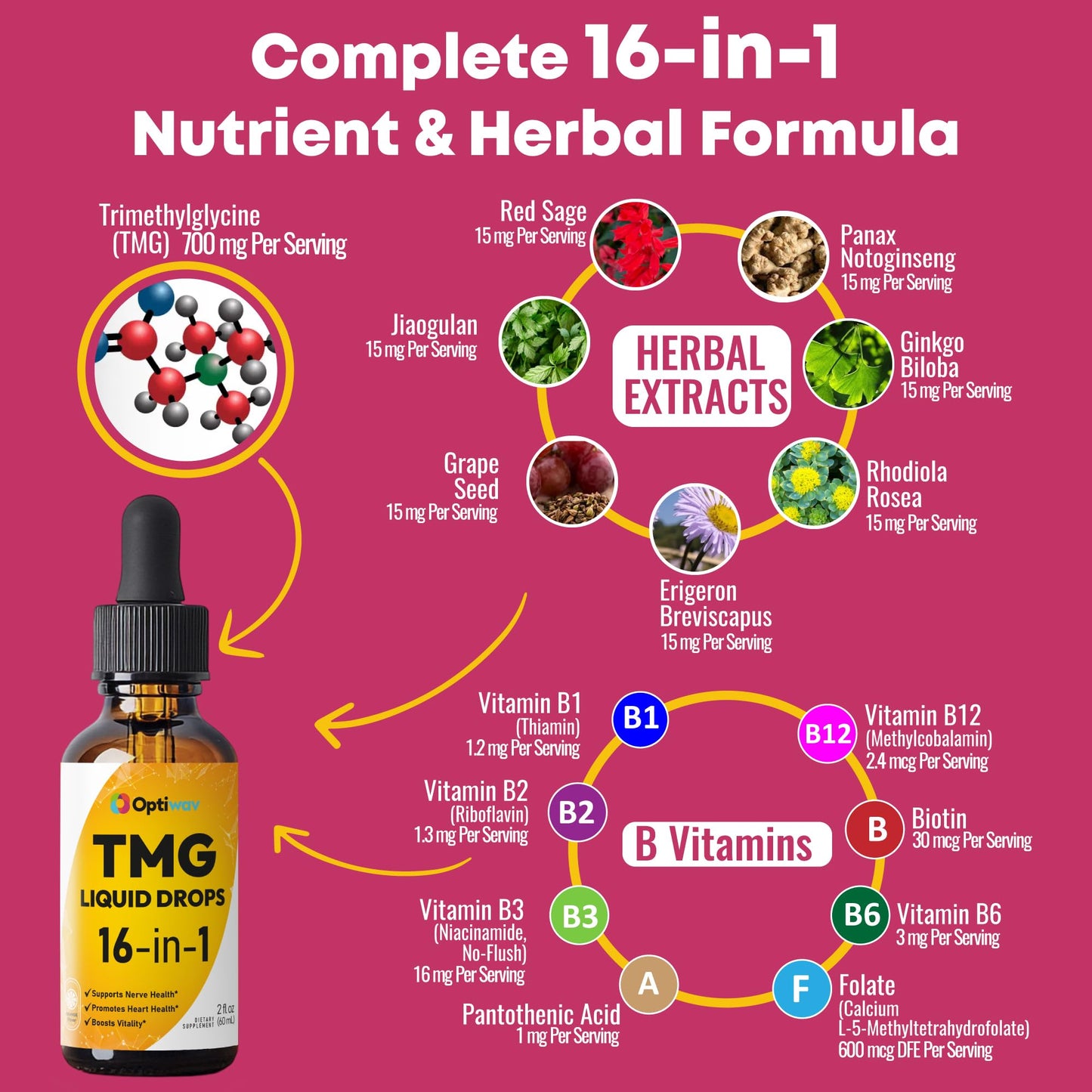 Optiwav TMG Trimethylglycine Liquid Drops - Betaine High Absorption Methylated Vitamins Supplement for Homocysteine Methylation & Heart Health Support - Orange Flavor Gluten Free Vegan - 2 fl oz OptiwavBuy Supplements Australia