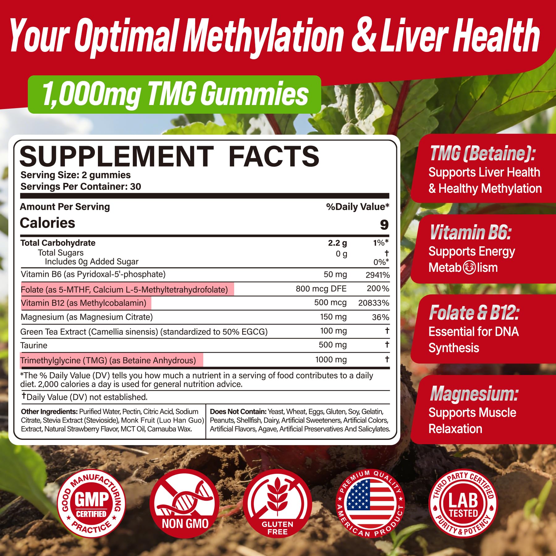 2Pack TMG Gummies 1000mg Betaine Anhydrous + Methylated Multivitamin & B Complex Methylated(Methylfolate B12 B6), Magnesium, Taurine - Essential Trimethylglycine for Homocysteine Levels, Brain, Energy NextdiaBuy Supplements Australia