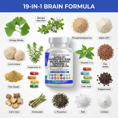 Brain Supplement Alpha GPC 300mg Phosphatidylserine Bacopa Monnieri Ginkgo Biloba Lions Mane Huperzine A L-Theanine NAC Nootropic Memory Focus Cognitive Support Vitamins B C D E 60 Capsules USA Clean NutraceuticalsBuy Supplements Australia