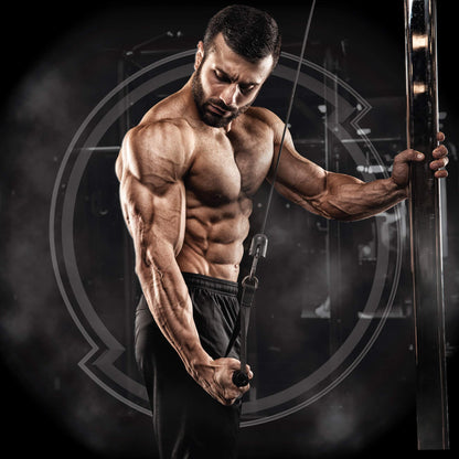 PMD Sports Ultra Pump Fuel - Pre Workout - Island Punch (30 Servings) Sports Omega Cuts Elite Thermogenic Fat Burner (90 Softgels)