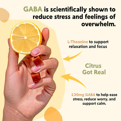 PYM Citrus Mood Chews Support for Stress, Worry & Overwhelm, 120 Count | 130mg GABA, 90mg L-Theanine | Vegan, Non-GMO, Gluten-Free, No Added Sugar | All-Natural Mood Balance Supplement Made in USA PYM HealthBuy Supplements Australia