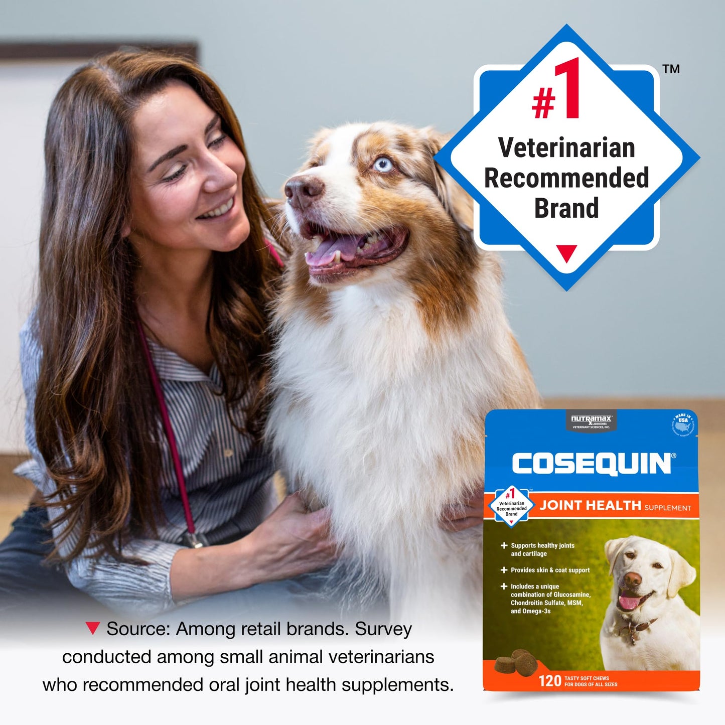 Nutramax Cosequin for Dogs Joint Health Supplement, Contains Glucosamine, Plus Chondroitin, MSM and Omega-3s, Supports Joint and Skin and Coat Health, Soft Chews, 120 Count Nutramax LaboratoriesBuy Supplements Australia