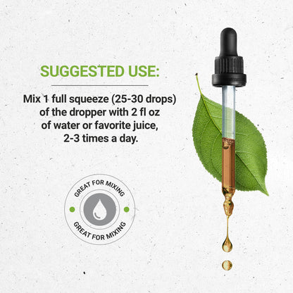 Secrets of the Tribe Mistletoe Tincture Alcohol-Free Liquid Extract, Mistletoe Secrets of the TribeBuy Supplements Australia