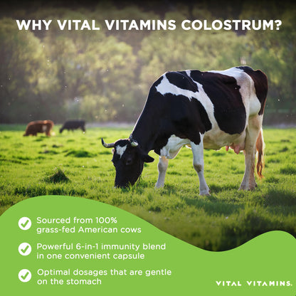 Vital Vitamins Colostrum Supplement - Vitamin C, Zinc, & Selenium - from First Milking - Standardized to Contain 10% IgG Immunoglobulins - Grass-Fed American Cows - 60 Capsules Vital VitaminsBuy Supplements Australia