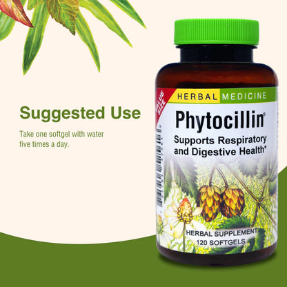 Herbs Etc. Phytocillin - Respiratory & Digestive Health Support Supplement - Herbal Formula to Support Digestion - Support Healthy Breathing - 120 Softgels (120 Servings) Herbs Etc.Buy Supplements Australia
