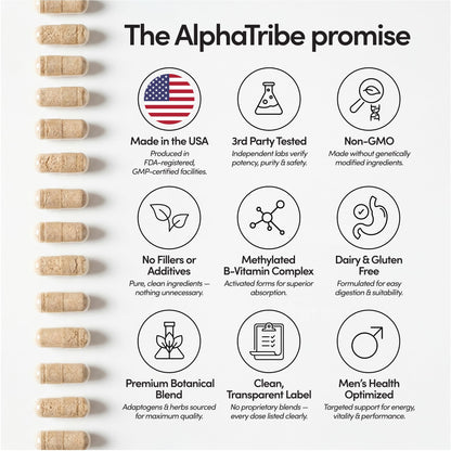 Alpha Tribe Multivitamin for Men & Organizer w/Seamoss Black Seed Oil Ashwagandha Burdock Root Turmeric Bladderwrack Vitamin C | Daily Men's Vitamins & Minerals Supplement | 60 Count Alpha TribeBuy Supplements Australia