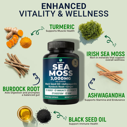 Sea Moss Black Seed Oil Ashwagandha Ginger - Advanced Irish Sea Moss Capsules All in One Supplement with Seamoss Black Seed Oil Ashwagandha Burdock Root Bladderwrack - Pills for Energy, Immune, Gut Opti HealthBuy Supplements Australia