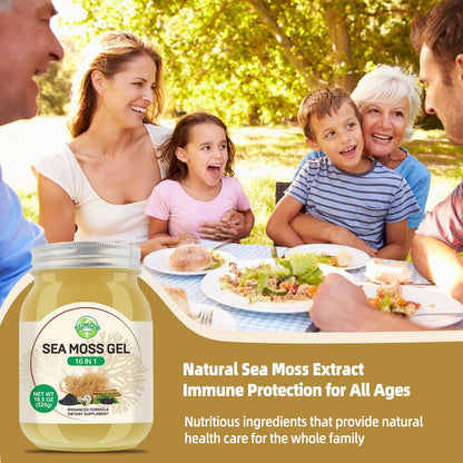 Sea Moss Gel - 18.5 oz Irish Seamoss Gel with Black Seed Oil and Ashwagandha, 16 in 1 Vegan Superfood Rich in Vitamins & Minerals, Raw Wildcrafted Seamoss for Immune & Digestion Support, Original SumDIPBuy Supplements Australia