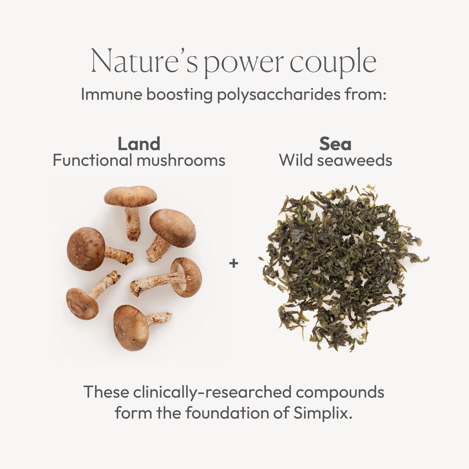 Simplix | Natural Supplement to Strengthen The Immune System | Respond to Outbreaks | Source of Highly Researched Mushroom & Seaweed Polysaccharides 60 Veggie Capsules (1 Pack) PapillexBuy Supplements Australia