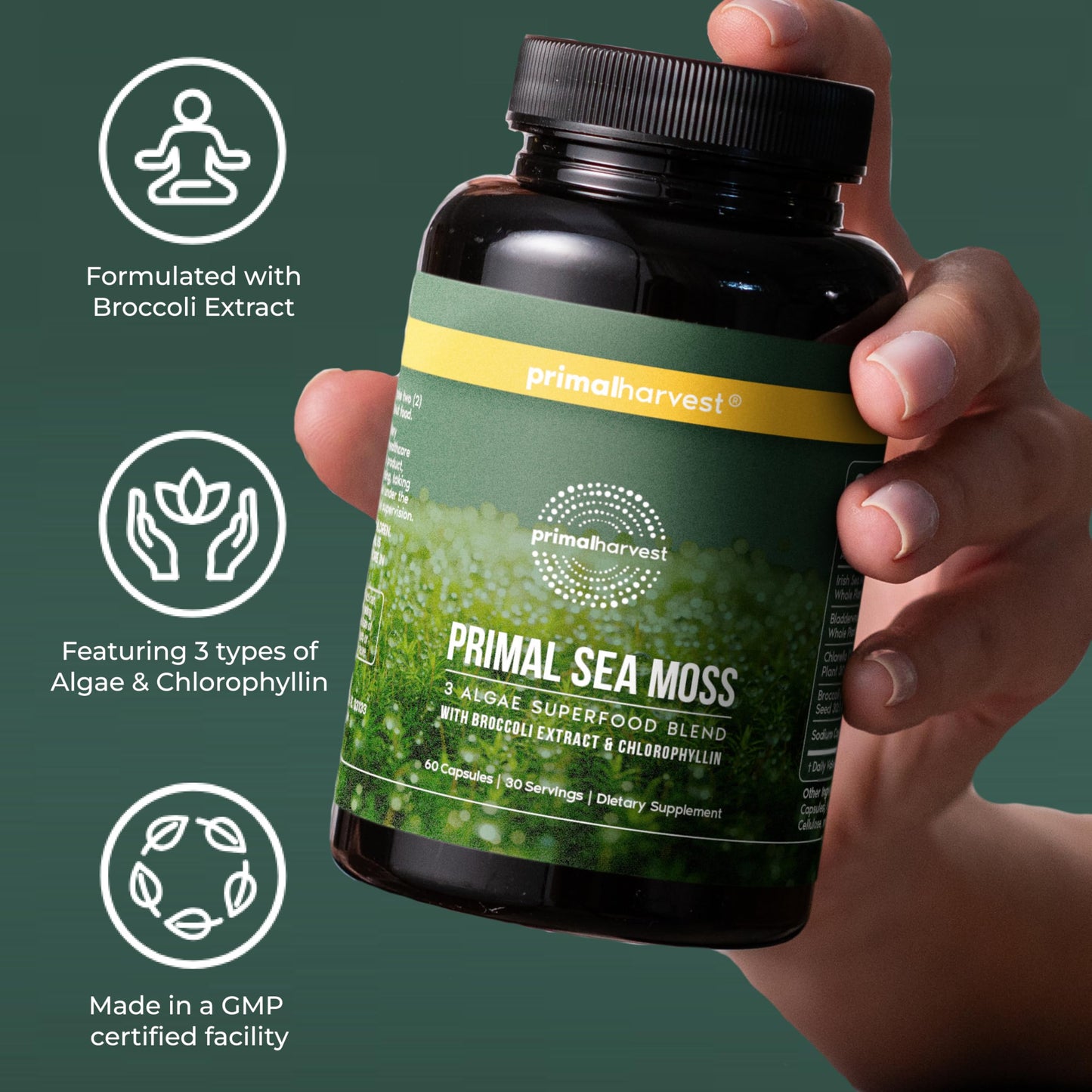 Primal Harvest Sea Moss Capsules with Bladderwack and Irish Sea Moss, Chlorella, Broccoli Seed Extract Plant-Based Supplements for Adults Primal HarvestBuy Supplements Australia