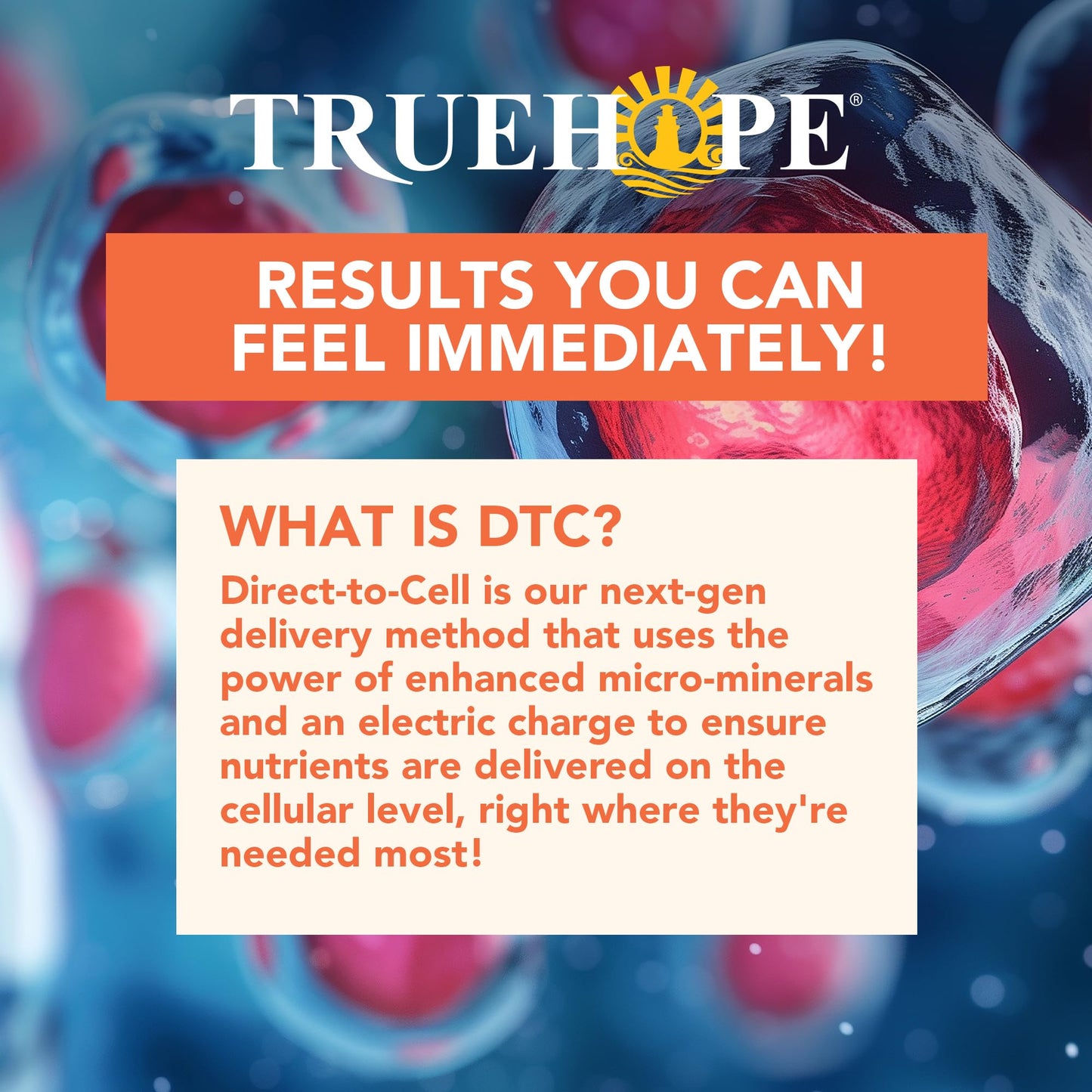 Truehope Multivitamin Nootropic Pouches with Inositol - Once-Per-Day EMPowerplus Ultimate Sticks - 30 Count (Tropical) TruehopeBuy Supplements Australia