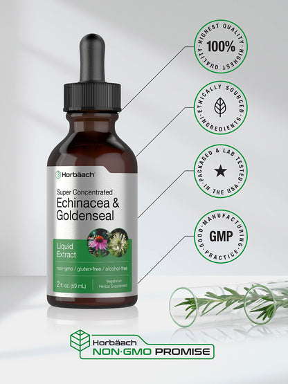 Echinacea Goldenseal Liquid Extract | 2 fl oz | Alcohol Free Tincture Drops | Vegetarian HorbäachBuy Supplements Australia