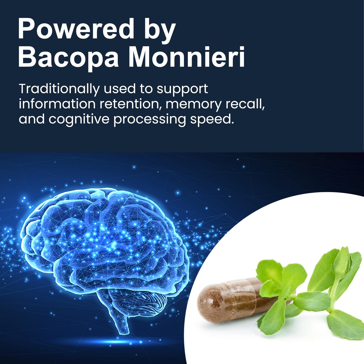 Pure Prana Ayurvedic Brain Supplement Capsules with Brahmi, Ashwagandha & Gotu Kola - Plant-Based Nootropic Cognitive Wellness Formula for Daily Focus - Vegan Clarity for Men Women - 60 Capsules Pure PranaBuy Supplements Australia