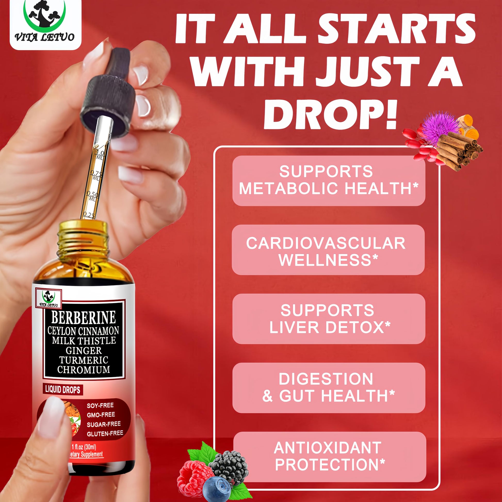Berberine Drops, High Absorption 6-in-1 Liquid Berberine Supplement with Ceylon Cinnamon Milk Thistle Turmeric, Premium Berberine HCl for Immune Function Metabolic & Digestive Support, 30 Servings Vita letuoBuy Supplements Australia
