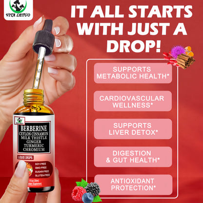 Berberine Drops, High Absorption 6-in-1 Liquid Berberine Supplement with Ceylon Cinnamon Milk Thistle Turmeric, Premium Berberine HCl for Immune Function Metabolic & Digestive Support, 30 Servings Vita letuoBuy Supplements Australia