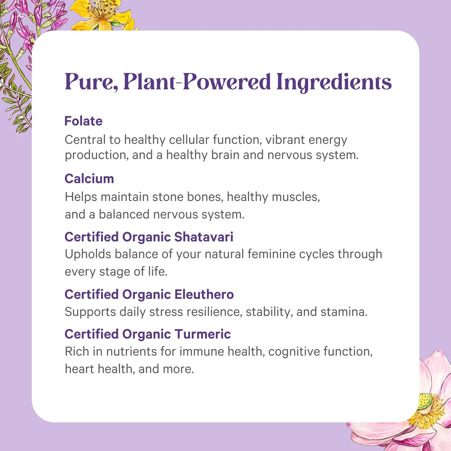 PURE SYNERGY Vita·Min·Herb for Women | Women’s Comprehensive Multivitamin Supplement | Made with Organic Whole Food Non-GMO & Vegan Ingredients | PURE SYNERGY