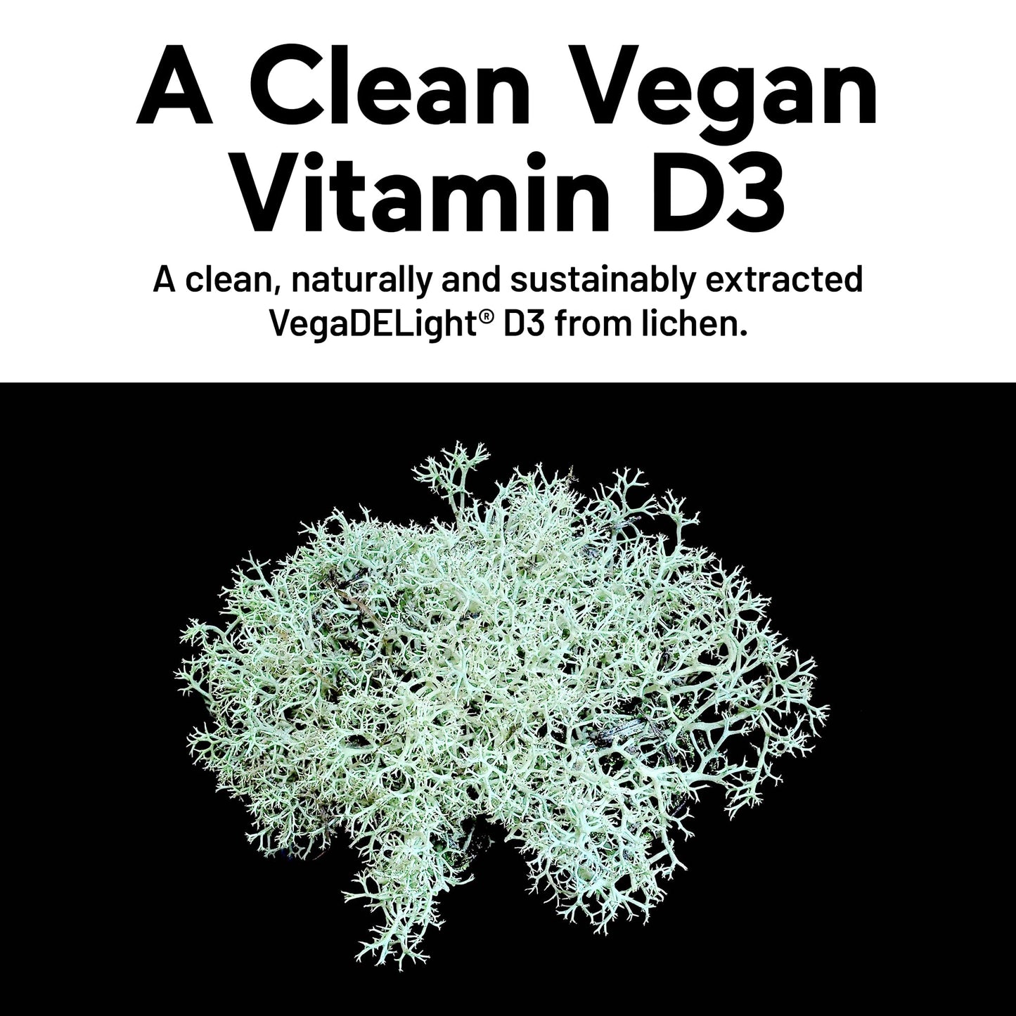 SMARTERNUTRITION Vegan Vitamin D3 5000 IU + Natural Vitamin K2 1100 mcg in Organic Coconut & Olive Oil - D3 K2 Supplement for Immune & Bone Support