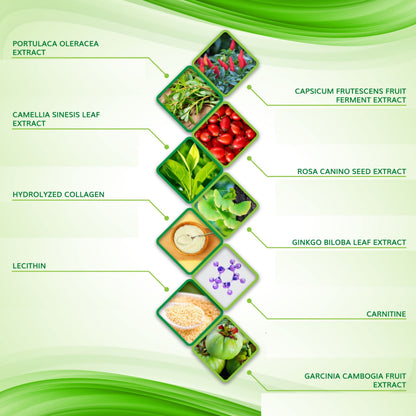 Moisturizing Body Wrap - New and Improved All Natural Body Applicator (5 WRAPS) Shape and Tone Body ProductsBuy Supplements Australia