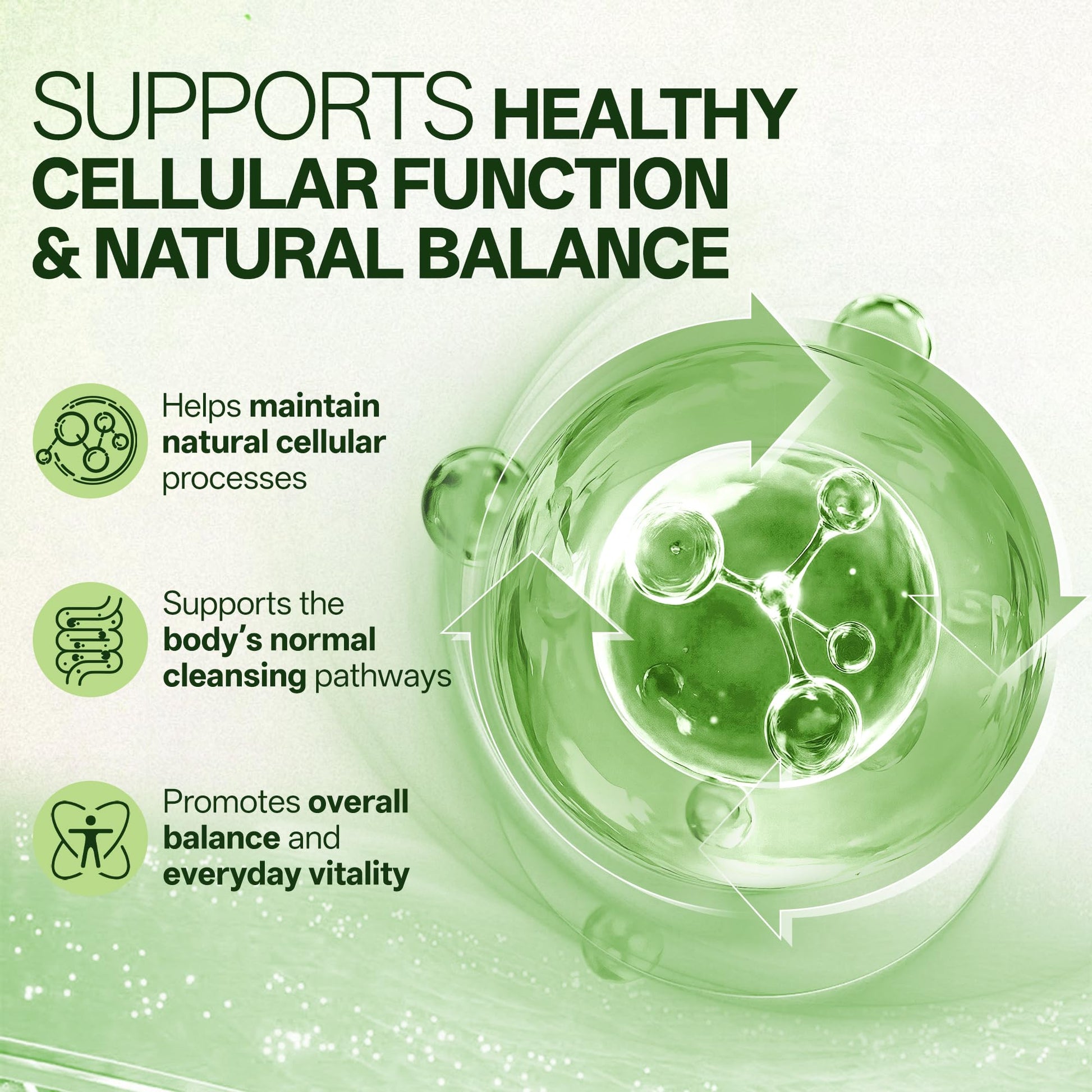 Liposomal Sulforaphane 500mg Supplement from Broccoli Extract with Quercetin, Black Pepper & Vitamin C – Antioxidant, Detox & Cellular Support, Cellular Health Formula for Men & Women, 60 Capsules inGreensBuy Supplements Australia