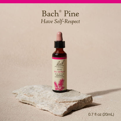 Bach Original Flower Remedies, Pine for Self Respect, Natural Homeopathic Flower Essence BachBuy Supplements Australia