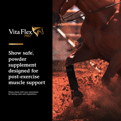 Vita Flex Pro Recovery by the Makers of Lactanase, Post Performance Horse Supplements 40 g, Show Safe Muscle Recovery Supplements, Amino Acids for Horses, Strength & Joint Health Vita FlexBuy Supplements Australia