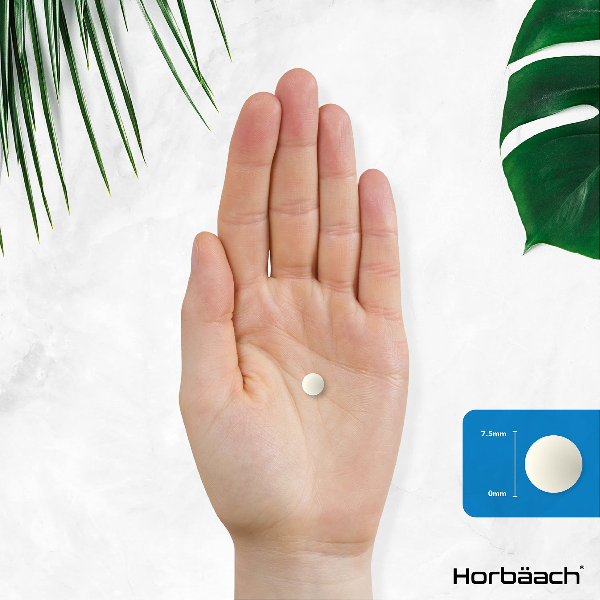 Vitamin K2 MK7 200ug | 365 Vegan Tablets | High Strength Menaquinone MK-7 HorbäachBuy Supplements Australia